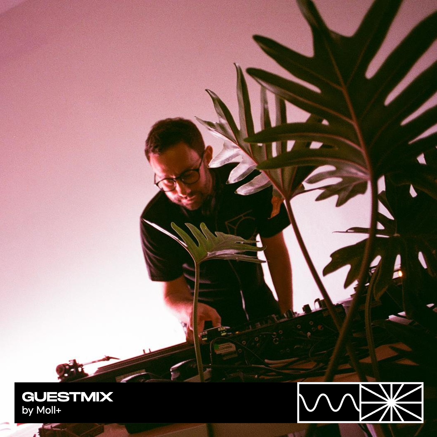 Guestmix 12/25 by Moll+